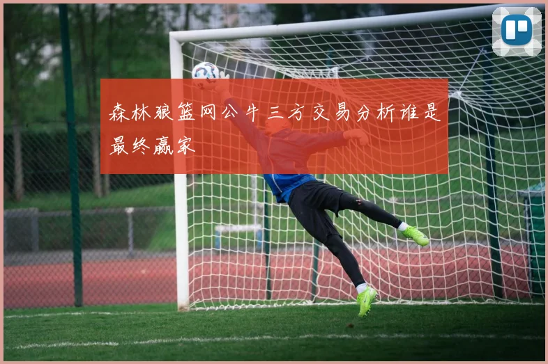 森林狼篮网公牛三方交易分析谁是最终赢家